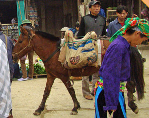 Horse with appliquéd saddle bags.