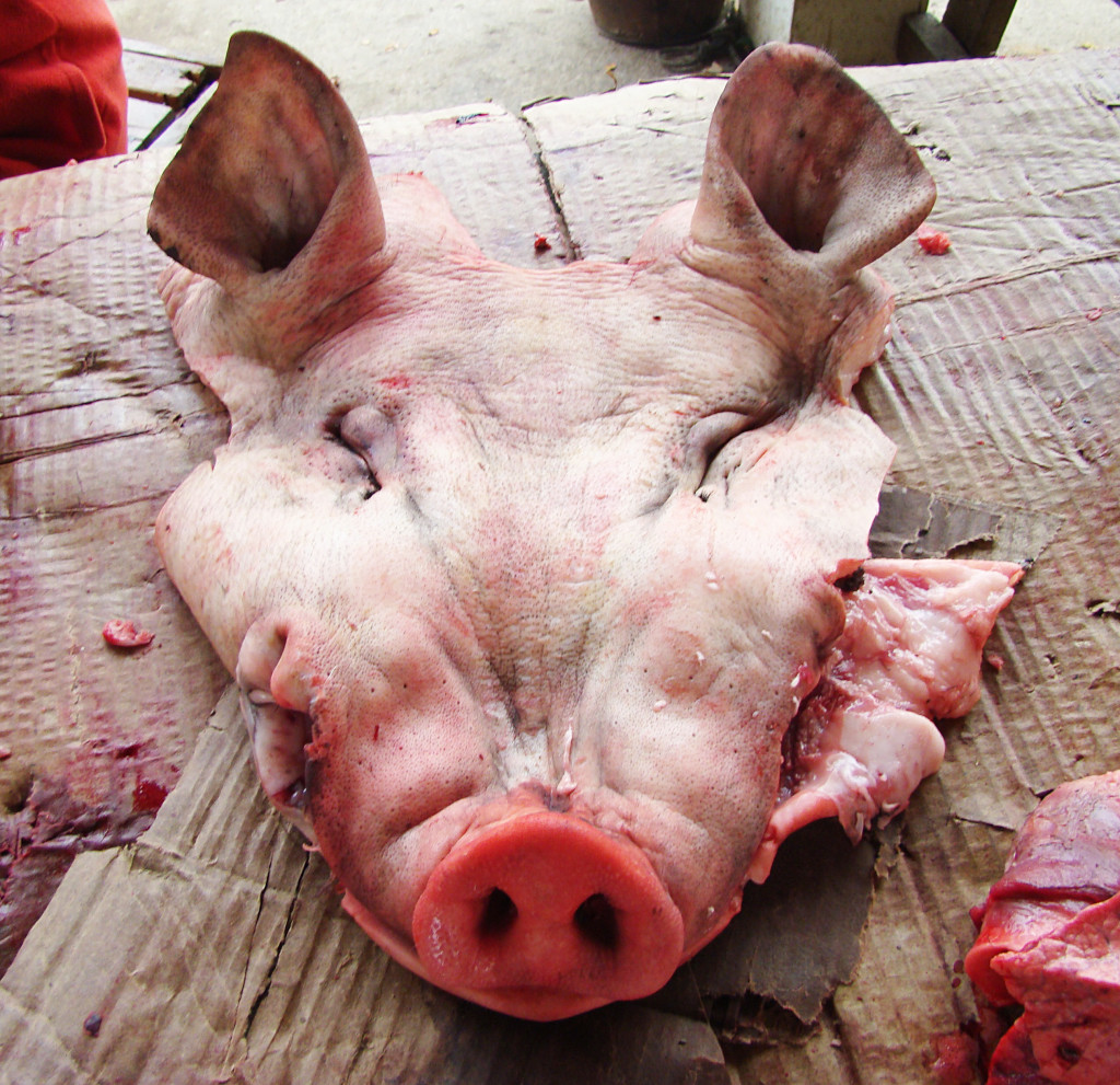 Happy pig face in Laos. 