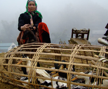 Laos Artists